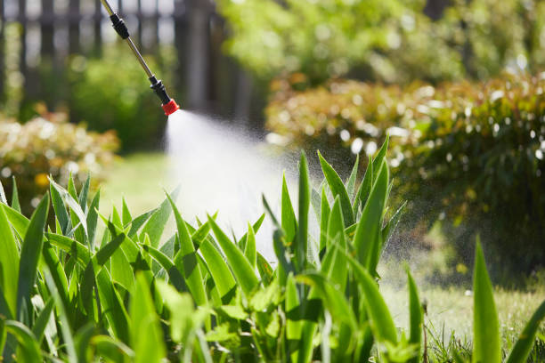24/7 Emergency Cockroach Control experts in Fairfax, MN