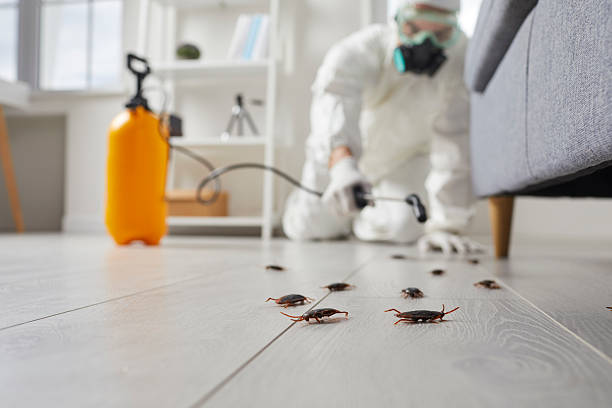 Trusted Bed Bug Control service in Fairfax, MN - Nex Pest Control