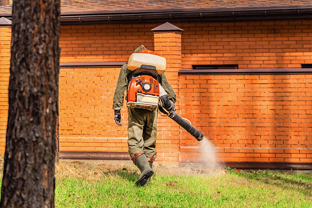 Trusted Termite Control service in Fairfax, MN - Nex Pest Control